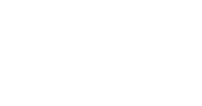 Open Dutch Fiber