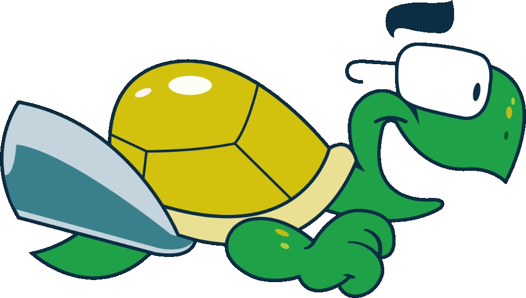 Jonaz-schildpad met bril en spoiler